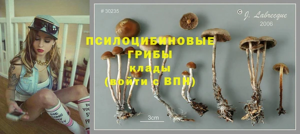 apvp Верхний Тагил