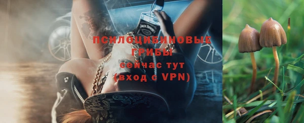 apvp Верхний Тагил