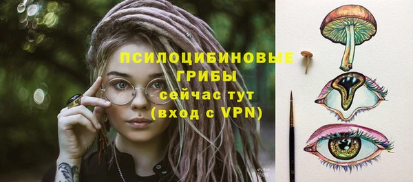 apvp Верхний Тагил